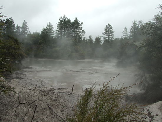 der groesste Schlamm-Pool der suedlichen Hemisphaere...wahrscheinlich eher der stinkendste!