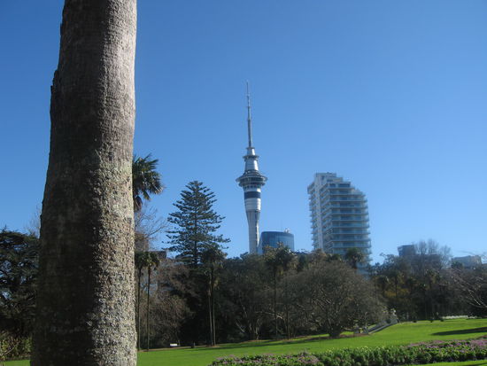 Blick über den Albert-Park zum Skytower