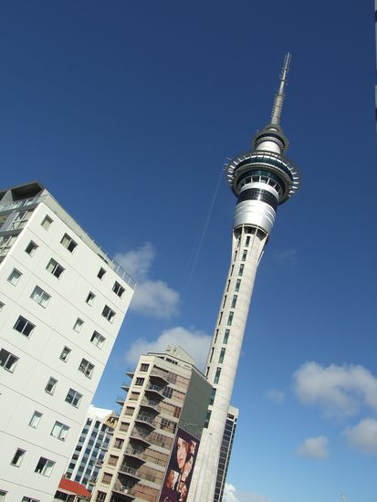 Blick aus meinem Zimmerfenster: der Skytower - ich sehe und höre immer die ganzen Verrückten, die da runterspringen 