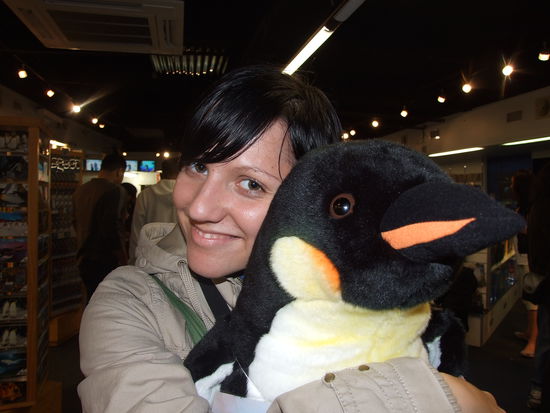 Und einen hätte Sandy sich fast mitgenommen 