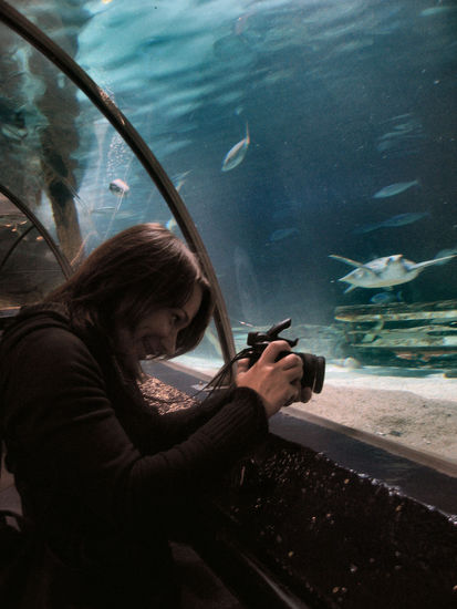 Ein Profi bei der Arbeit 