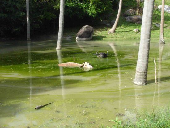 auch ausserordentlich entspannt die beiden