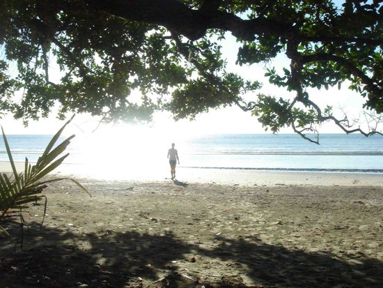 Cape Tribulation