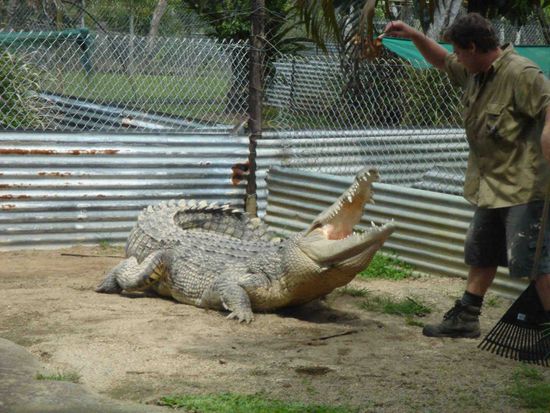 He knows what human meat tastes like!