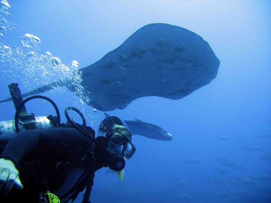 Der ist größer als Nane.