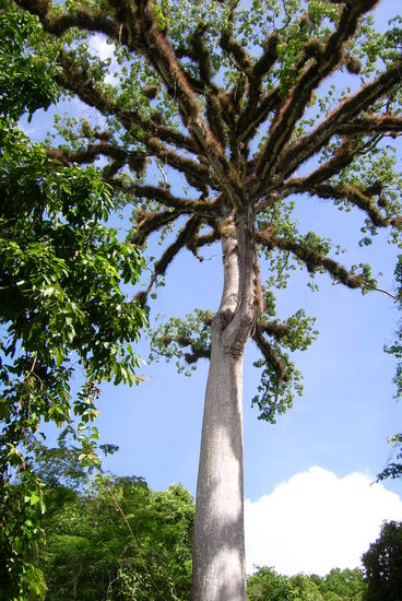 So ziemlich die 1. Attraktion - RIESIG! aber hier mal zum Vergleich-