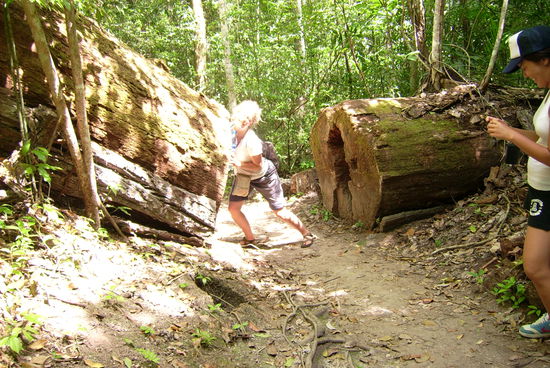und wieder stellt sich Ellen zur Verfuegung - schnell das Baeumchen aus dem Weg und weiter gehts!