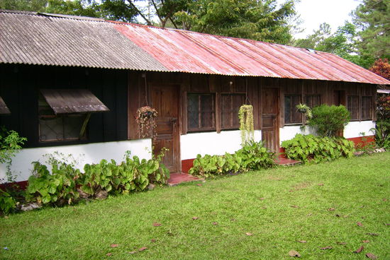 Unser privater Bungalow ... - auf der Wiese hab ich Gluehwuermchen gefangen (fuer alle die, die nicht an deren Existenz glauben: ICH HAB ES MIT EIGENEN AUGEN GESEHEN &amp; die leuchten sogar manchmal in anderen Farben ... Central America machts moeglich 