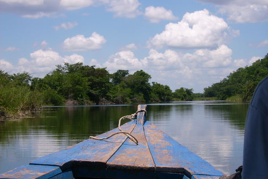 Und dann gehts 60Minuten lang durch den Dschungel ... Fische springen neben uns im Wasser! Kaum einer sagt was ... beeindruckend! Und man kann zwar versuchen Bilder zumachen, aber autentisch sind die auf keinen Fall! Obwohl ich sagen muss DIESES Bild ist wirklich gut gelungen, hm!?
