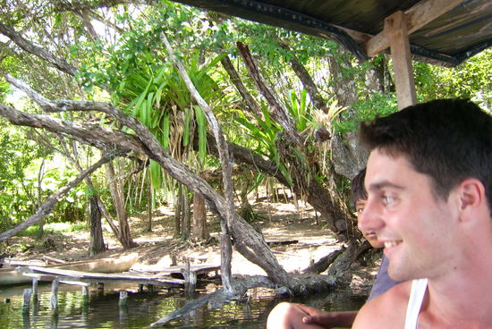 Und da sind wir!
Dschungel ganz klar erkennbar, oder?