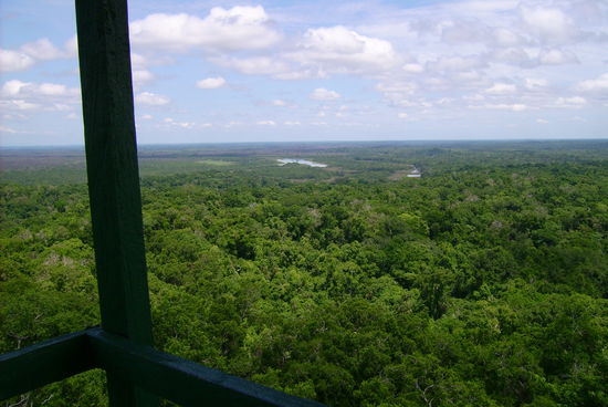 Uns war nicht klar, dass da SOVIEL Dschungel um uns drum existiert ... aber es hatte sicher seine Gruende warum wir 3,5Std gereist sind!