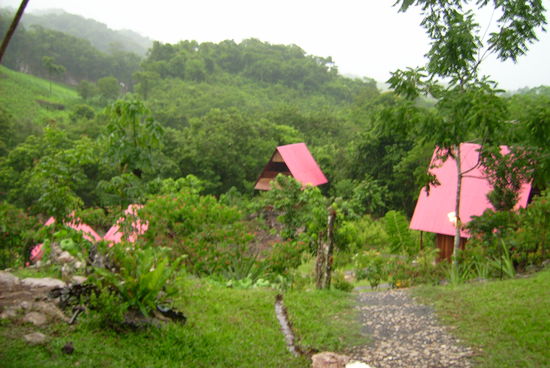 Und DAS ist er! Der Ausblick. In dem Bungalow geradezu haben Nicole &amp; ich 2 Naechte verbracht.