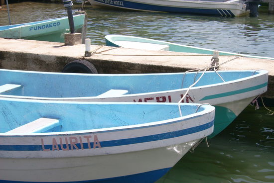 "Merlin" &amp; "Laurita" - lustig, oder?