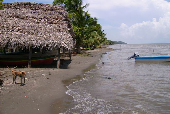 Ja, soviel zu Thema "Karibisches Meer"! Aber wir haben diese Erfahrung ja bereits in Belize gemacht, also keine Ueberraschung!