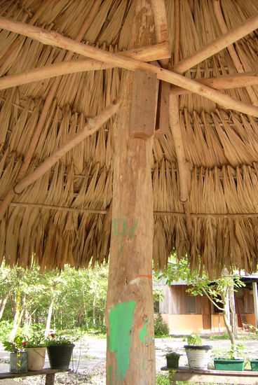 noch ein schattiges Plaetzchen und die Toiletten (mit Spuelung!!!) im Hintergrund!