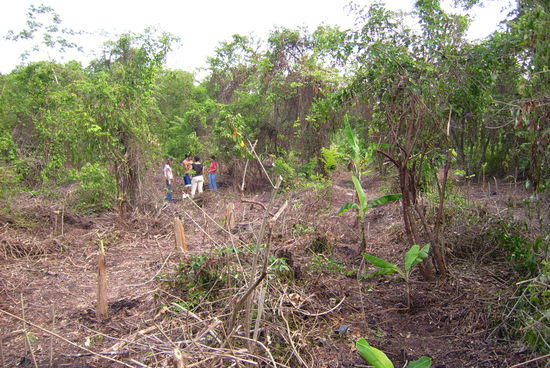 Die Schueler machen eine Pause!?!