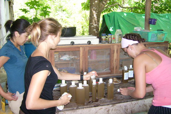 Dani, Yun &amp; Laura stellen mit Clementina Shampoo aus Kraeutern und Limetten her!