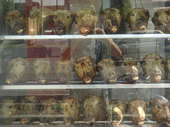 Schaufenster eines Lammgourmettempels..