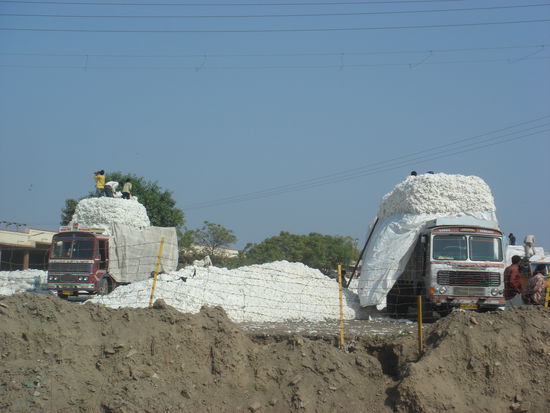 ja, das reicht wohl fuer einige T-Shirts