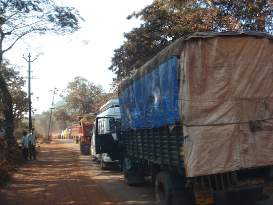 Wir haben bis anhin echt noch nie ein so grosses Rudel LKS's gesehen