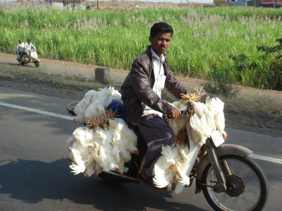 Dieser tuechtige Geschaeftsmann verkauft wohl extrafrisch gelueftetes Federvieh..