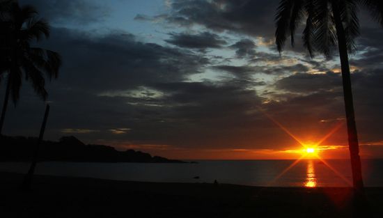 Weihnaechtliche Abendstimmung in unserem Garten