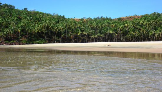 Berny und die Palmen