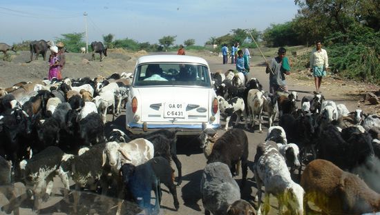 Rush-Hour à la countryside