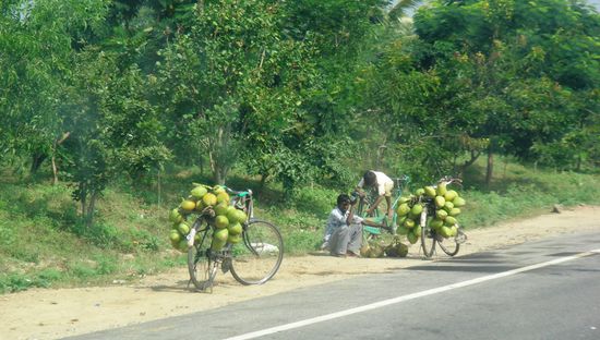 Autobahnverpflegungsstaette auf indisch..
