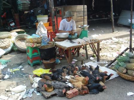 ...obgenannter Güggelilieferant hat's ebenfalls bis nach Phnom Penh geschafft...