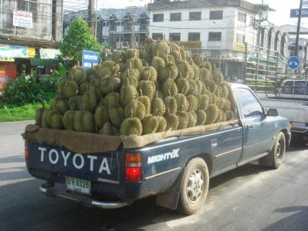 ...auf dem Weg back to Cambodia...Durian-Harvest...Wichtige Mitteilung: Campe niemals neben einem Duriantransporter..stinkt übel diese Frucht...