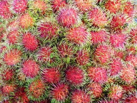 ...Rambutan....