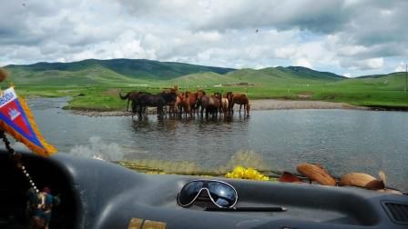 ...Autofahren ist in der Mongolei schon spannender als in der Schweiz...