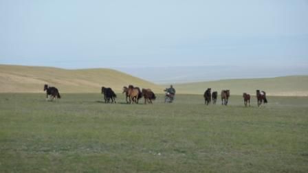 ....wir staunen wie wichtig der Fortschritt den Mongolen zu sein scheint, denken wir uns doch, dass ein Pferd wohl viel geeigneter wäre um die Herden über die Landschaft zu treiben....