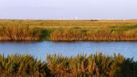 ...im Hintergrund knapp zu erkennen die futuristische Skyline von Astana..