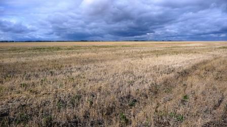 ...dem Land der endlosen Felder und leider dicken Wolken...
