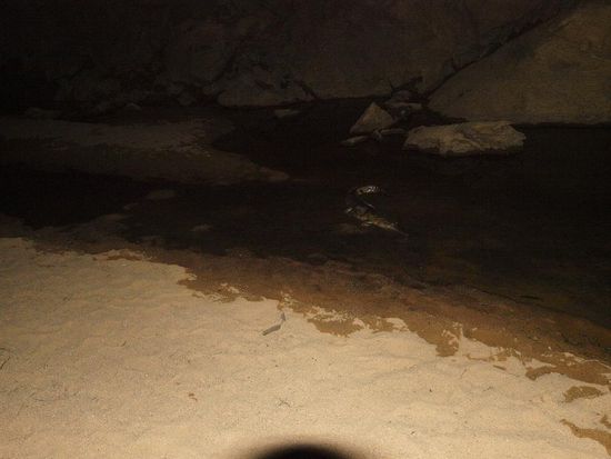 Ahhhhhhh..... Angst!