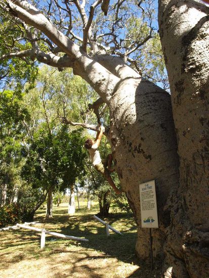 Und Mario am klettern