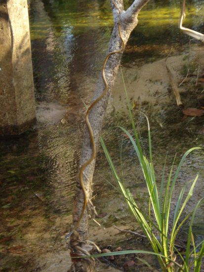 Auf jeden fall ziemlich lang...