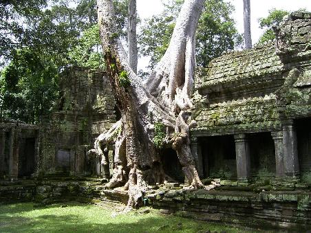 ...in einem der beeindruckensten Tempel in Angkor Wat