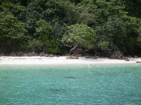 Schnorchelstop auf dem Weg nach Koh Mak