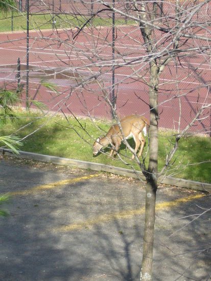 Davon gab es in M.T. jede Menge...