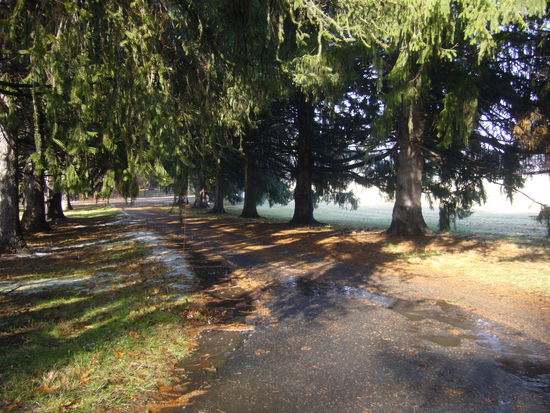 Auf dem Weg zum Battlefield