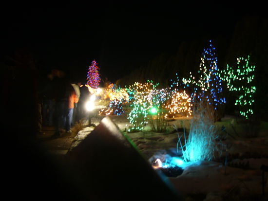 Im Botanischen Garten