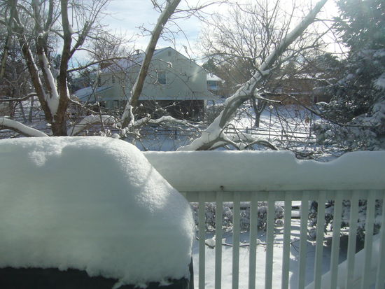 1.Weihnachtsmorgen! Weisse Weihnacht! Jippiie!