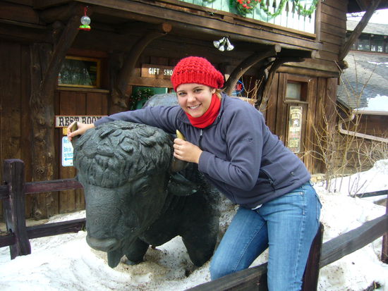 Pack das Tier an den Hoernern!