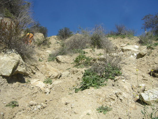 ja...so verrueckt waren wir