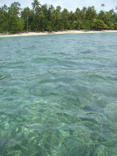 Ein Traum zum Schnorcheln