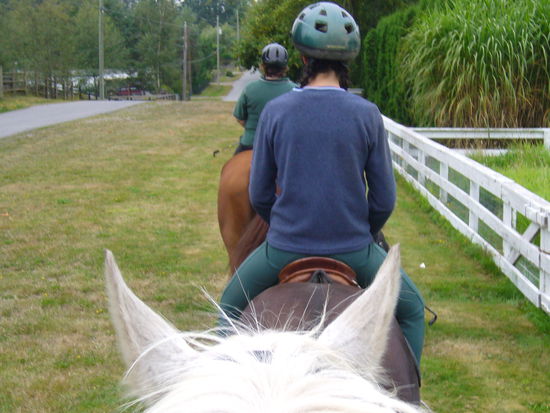 Das Glueck der Erde liegt auf dem Ruecken der Pferde