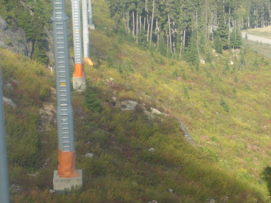 Naa..wer sieht was ich gesehen habe???  Tipp: Braun und Pelzig